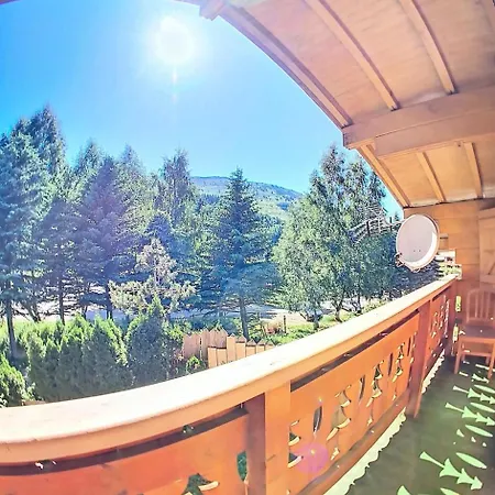 Ours Brun - Ours Brun Mae-5193 * Venosc