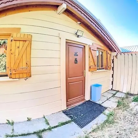 Ours Brun - Ours Brun Mae-5193 * Venosc