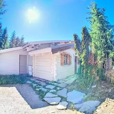 Chalet Ours Brun - Ours Brun Mae-5193