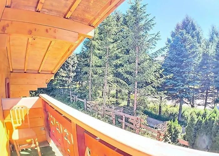 Chalet Ours Brun - Ours Brun Mae-5193 Venosc