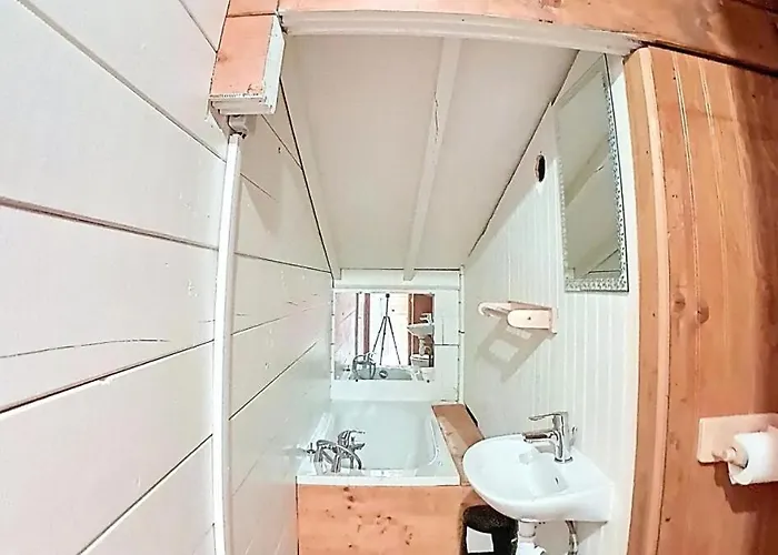 Ours Brun - Ours Brun Mae-5193 *