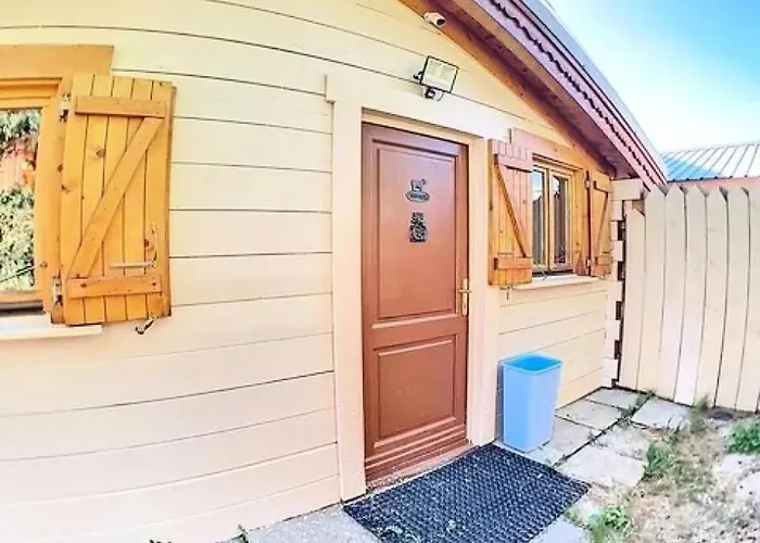 Ours Brun - Ours Brun Mae-5193 * Venosc