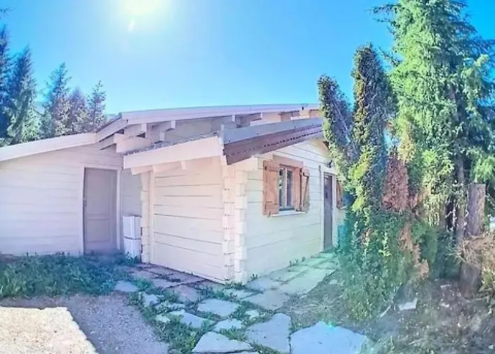 Chalet Ours Brun - Ours Brun Mae-5193