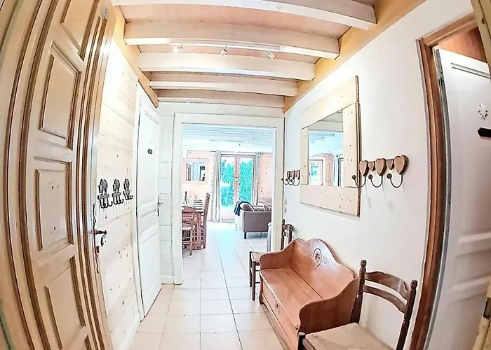 Chalet Ours Brun - Ours Brun Mae-5193 *